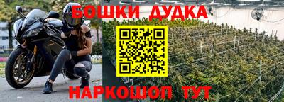 прущие грибы Апрелевка