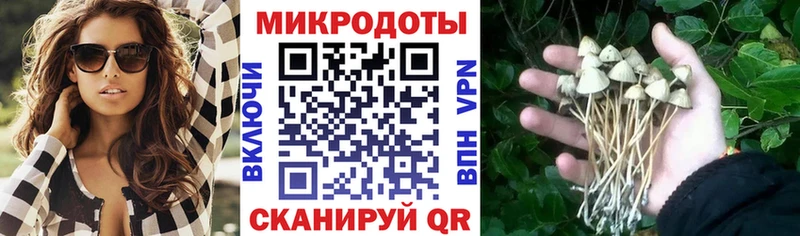хочу наркоту  Фурманов  Галлюциногенные грибы GOLDEN TEACHER 