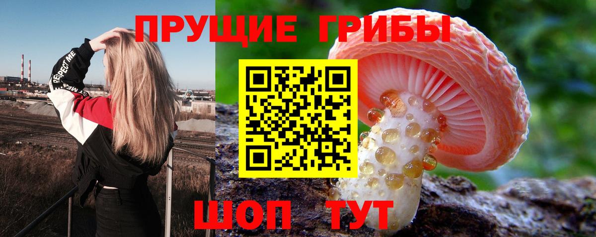 Псилоцибиновые грибы Magic Shrooms Фурманов